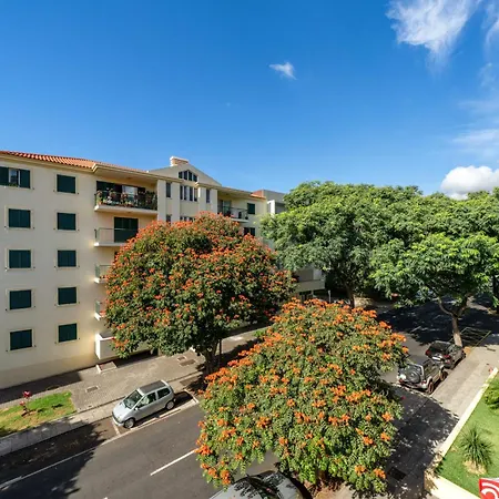 Madalenas Iii By An Island